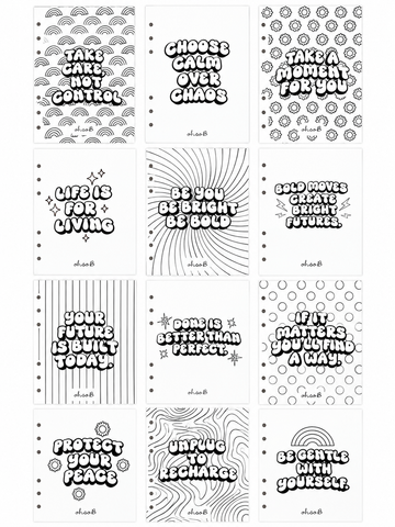 Oh So B Organiser - Colour Sheet inserts